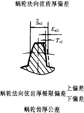 平面二次包絡環面蝸杆傳動精度蝸杆、蝸輪誤差的定義及代号